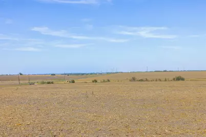 52.27 Acres County Road 301, Granger, TX 76530 - Photo 19