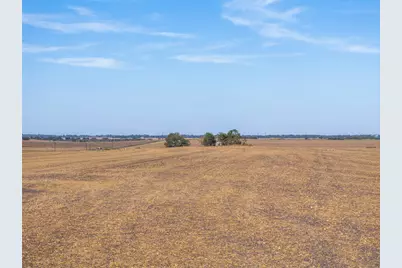 52.27 Acres County Road 301, Granger, TX 76530 - Photo 7