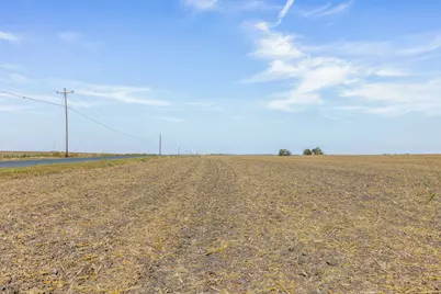 52.27 Acres County Road 301, Granger, TX 76530 - Photo 23
