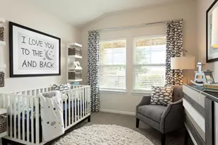 291 Texas Agate Dr, Kyle, TX 78640 - Photo 15