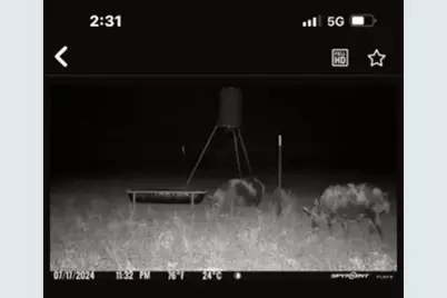 542 Co Rd 2275 Road, Lampasas, TX 76550 - Photo 15