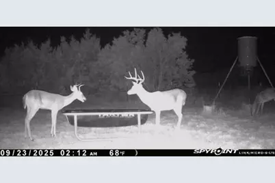 542 Co Rd 2275 Road, Lampasas, TX 76550 - Photo 3