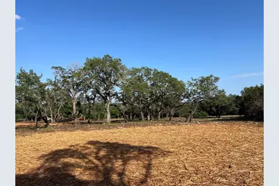 304 Stonegate Lane, Dripping Springs, TX 78620 - Photo 9