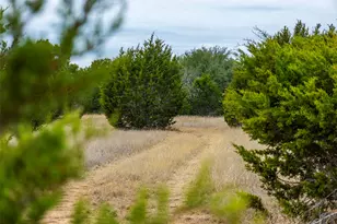 Tbd County Road 200, Bertram, TX 78611 - Photo 15