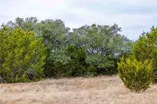 Tbd County Road 200, Bertram, TX 78611 - Photo 9