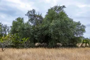 Tbd County Road 200, Bertram, TX 78611 - Photo 17