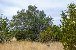 Tbd County Road 200, Bertram, TX 78611 - Photo 11