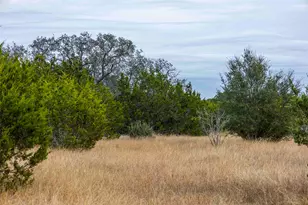 Tbd County Road 200, Bertram, TX 78611 - Photo 5
