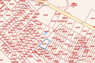 356 Cedar Ln, Cedar Creek, TX 78612 - Photo 37