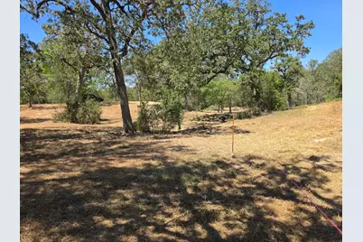183 Wilbarger Cove, Elgin, TX 78621 - Photo 5