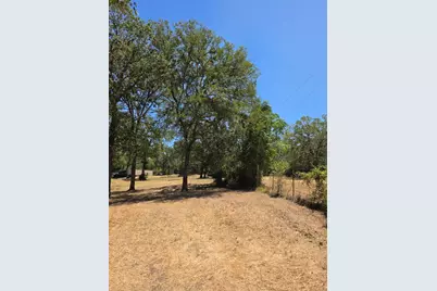 183 Wilbarger Cove, Elgin, TX 78621 - Photo 9