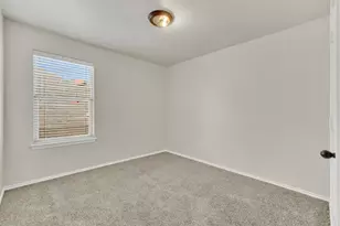 310 Sageleaf Willow Dr, San Marcos, TX 78666 - Photo 15