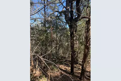 Lot 321 Keneka Lane, Bastrop, TX 78602 - Photo 3