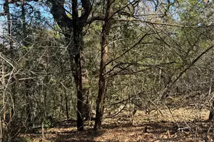 Lot 321 Keneka Ln, Bastrop, TX 78602 - Photo 1