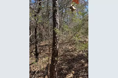 Lot 321 Keneka Lane, Bastrop, TX 78602 - Photo 5