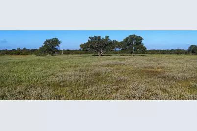2612 Roosevelt Drive, Kingsbury, TX 78638 - Photo 29
