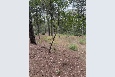 Lot 292 Aka Court, Bastrop, TX 78602 - Photo 5