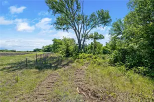 Tbd County Road 276, Liberty Hill, TX 78605 - Photo 15