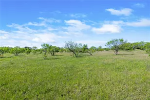 Tbd County Road 276, Liberty Hill, TX 78605 - Photo 7