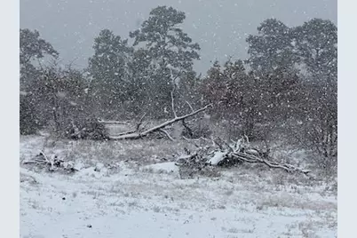 143 Spring Hollow Trail, Smithville, TX 78957 - Photo 19