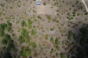 143 Spring Hollow Trail, Smithville, TX 78957 - Photo 27