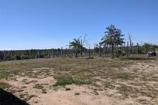 143 Spring Hollow Trail, Smithville, TX 78957 - Photo 39