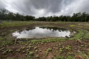 747 Co Rd 467, Thrall, TX 76578 - Photo 1