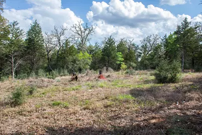 Tbd Edgewood Trail, Paige, TX 78659 - Photo 15