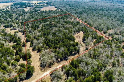 Tbd Edgewood Trail, Paige, TX 78659 - Photo 13