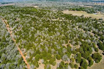 Tbd Edgewood Trail, Paige, TX 78659 - Photo 7