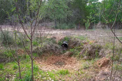 Tbd Edgewood Trail, Paige, TX 78659 - Photo 33