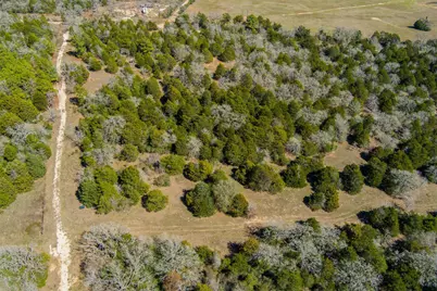 Tbd Edgewood Trail, Paige, TX 78659 - Photo 27