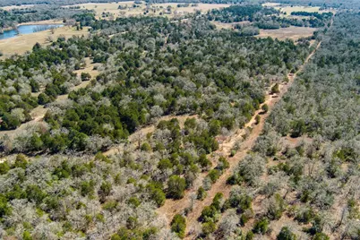 Tbd Edgewood Trail, Paige, TX 78659 - Photo 5