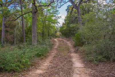 Tbd Edgewood Trail, Paige, TX 78659 - Photo 7