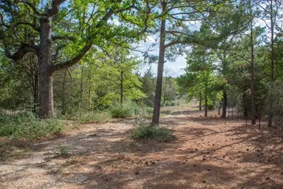 Tbd Edgewood Trail, Paige, TX 78659 - Photo 11