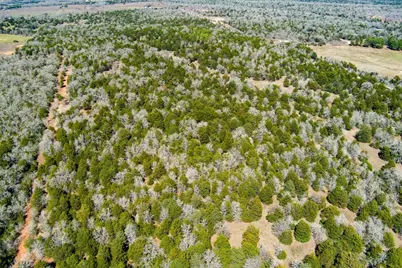 Tbd Edgewood Trail, Paige, TX 78659 - Photo 9