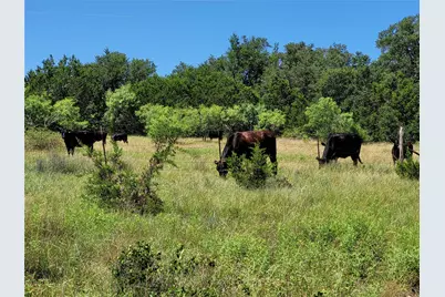 Tbd Cr 1139 575 Acres, Lampasas, TX 76550 - Photo 7