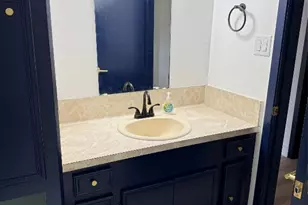 1005 Doris Ln, Cedar Park, TX 78613 - Photo 17