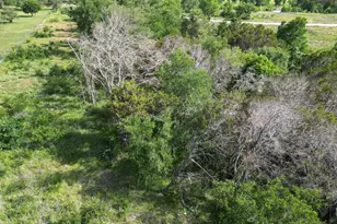 Lot 40 Serenity Dr, Bertram, TX 78605 - Photo 7