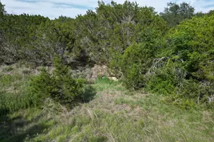 Lot 40 Serenity Dr, Bertram, TX 78605 - Photo 5