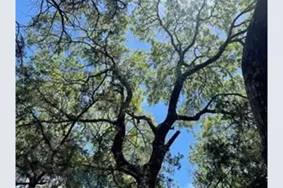 20610 Agarita Drive, Leander, TX 78645 - Photo 9