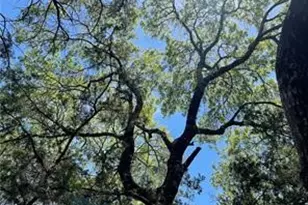 20610 Agarita Dr, Leander, TX 78645 - Photo 9