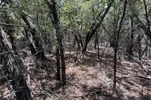 20610 Agarita Dr, Leander, TX 78645 - Photo 11