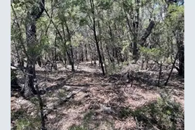 20610 Agarita Drive, Leander, TX 78645 - Photo 5