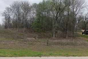 107 Bateleurefrey Cv, Cedar Creek, TX 78612 - Photo 1