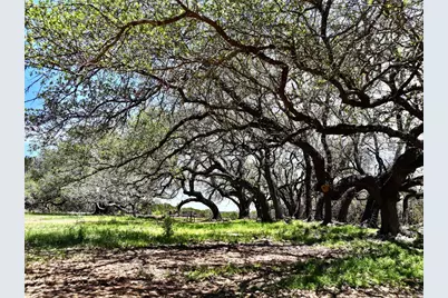 285 Donnie Drive, Lampasas, TX 76550 - Photo 11