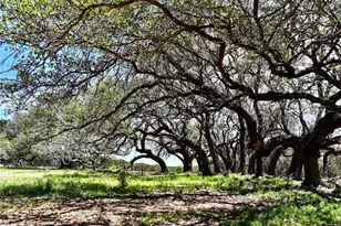 285 Donnie Dr, Lampasas, TX 76550 - Photo 11