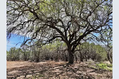 285 Donnie Drive, Lampasas, TX 76550 - Photo 9