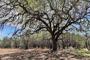 285 Donnie Dr, Lampasas, TX 76550 - Photo 9