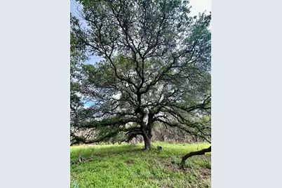 285 Donnie Drive, Lampasas, TX 76550 - Photo 15